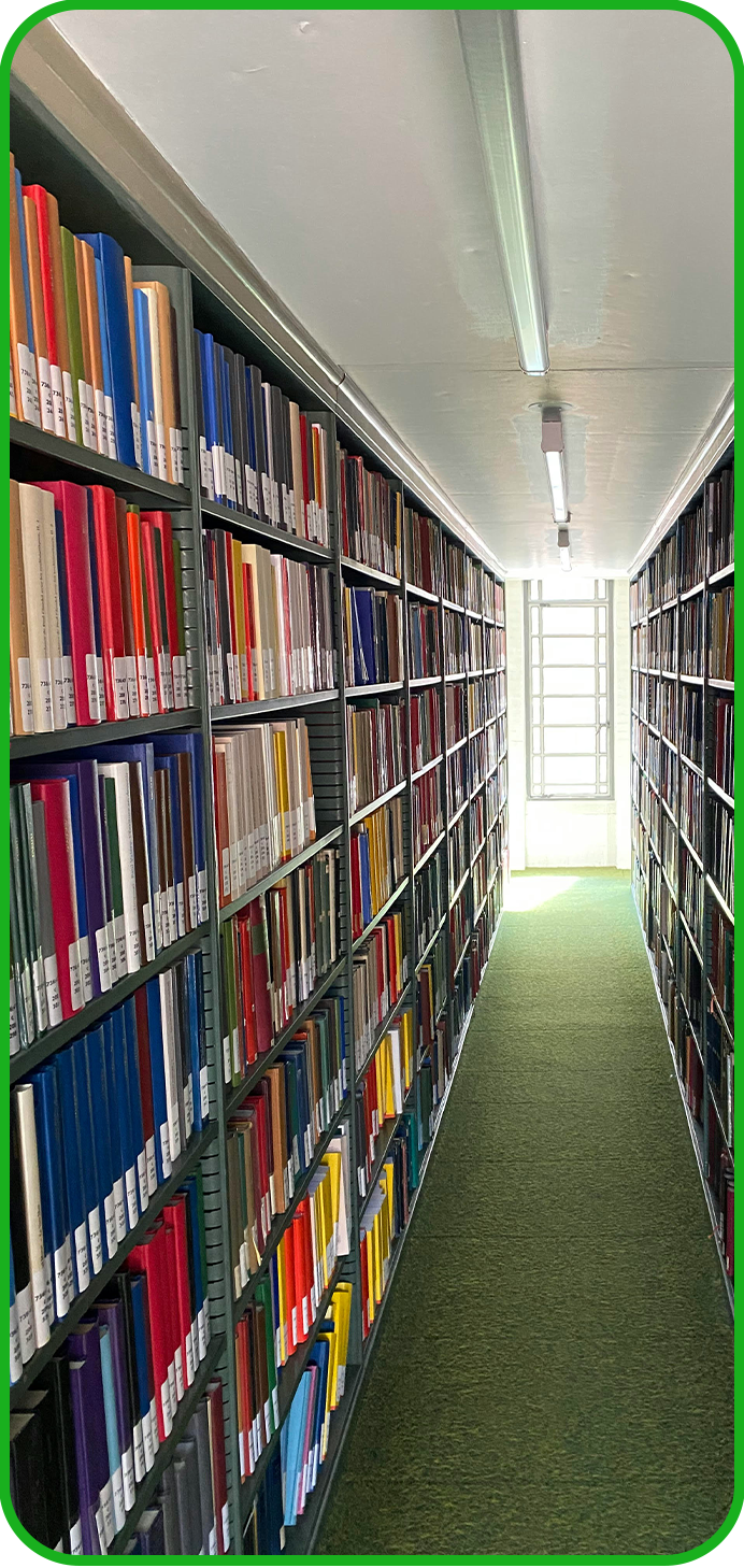 Library bookshelf