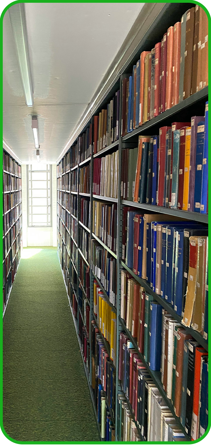 Library bookshelf
